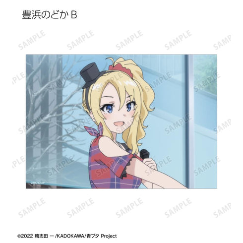 『青春ブタ野郎はおでかけシスターの夢を見ない』トレーディング場面写ブロマイド(単位/BOX)【202509再販】